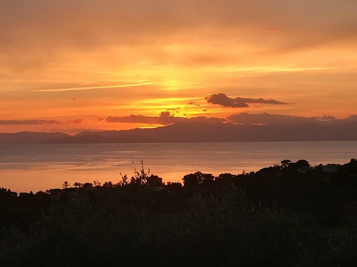 Ulivo Lägenhet Quartu SantʼElena Exteriör bild