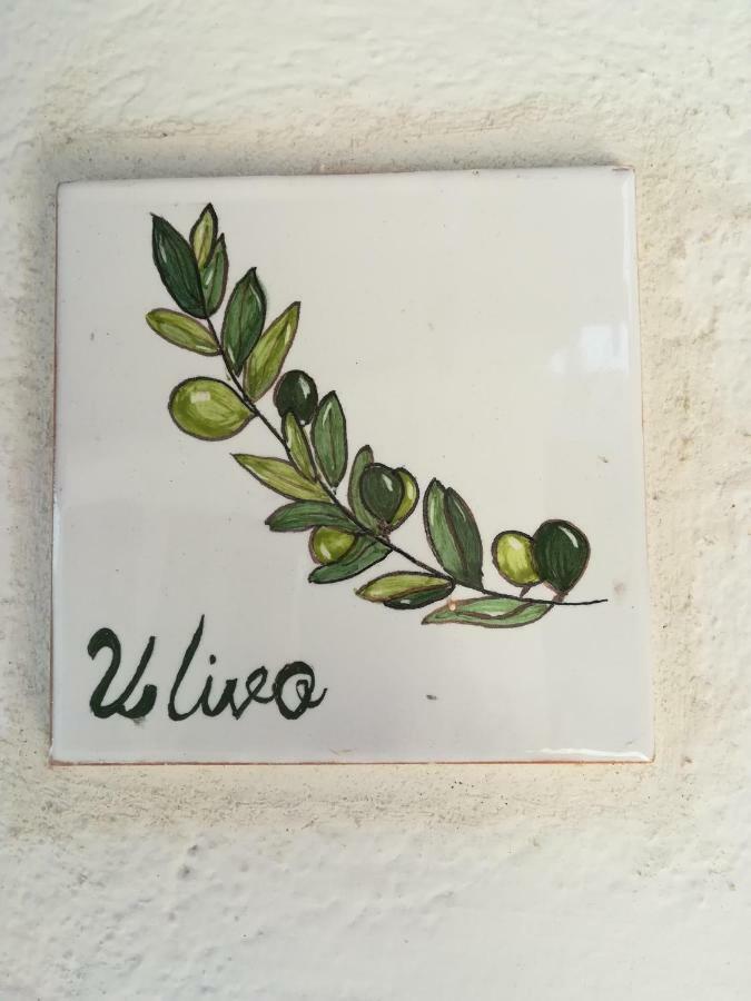 Ulivo Lägenhet Quartu SantʼElena Exteriör bild